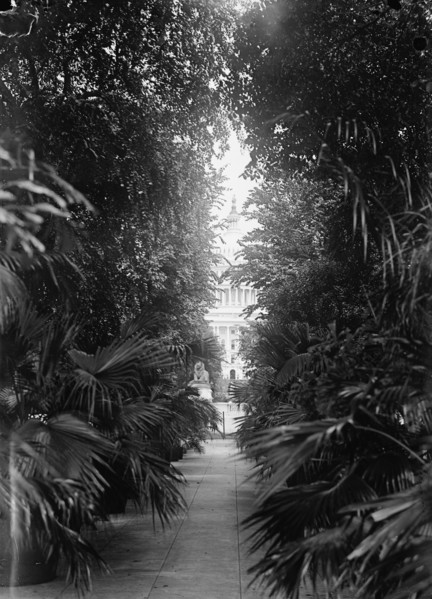 Botanical Gardens, 1917 or 1918.
