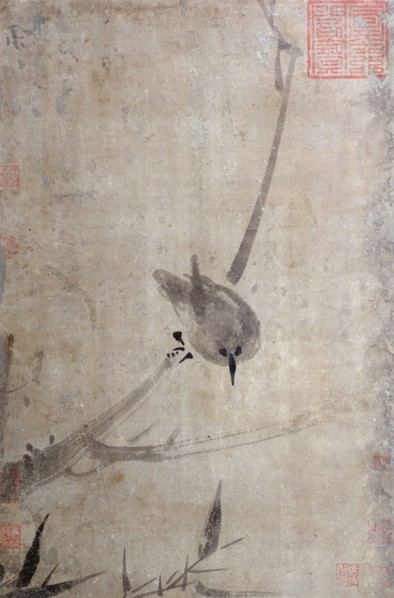 Starling, between 1200 and 1300.