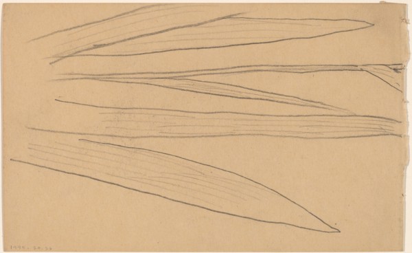 Study of a Flower [verso], 1890/1897.