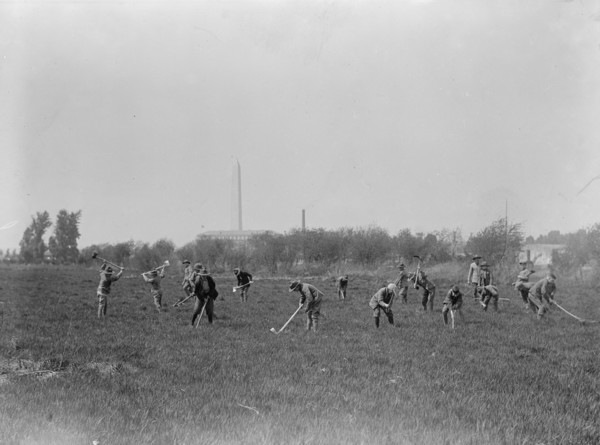 Boy Scouts Gardening In Potomac Park, 1917.