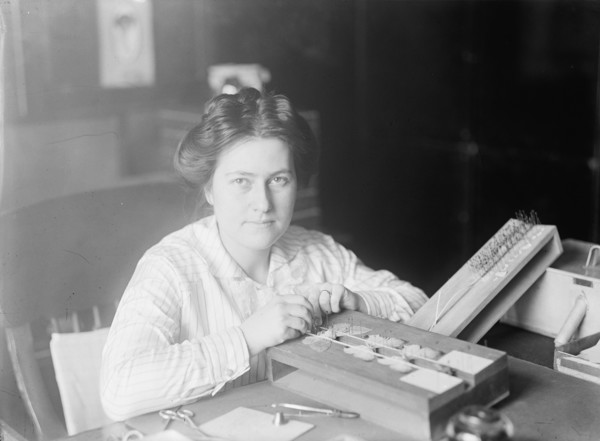 Mrs. J.C. Crawford of Smithsonian, 1914. Woman with pinned butterfly specimens.