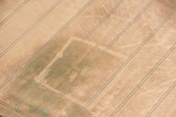 Rectilinear enclosure crop mark showing in the hot summer of 2018, near Linton, Cambridgeshire, 2018.