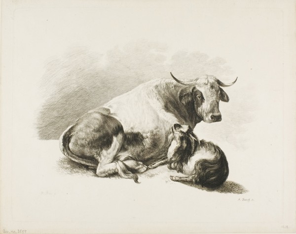 Animal Piece, n.d.