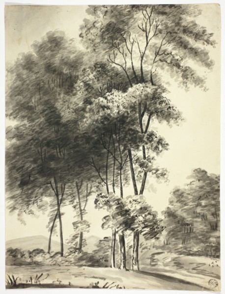 Trees with Mountains in Distance, n.d.