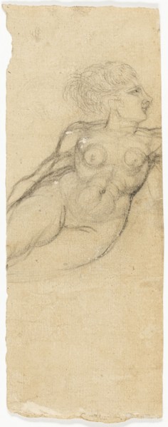 Studies of Nudes, n.d. Attributed to Henry Fuseli.