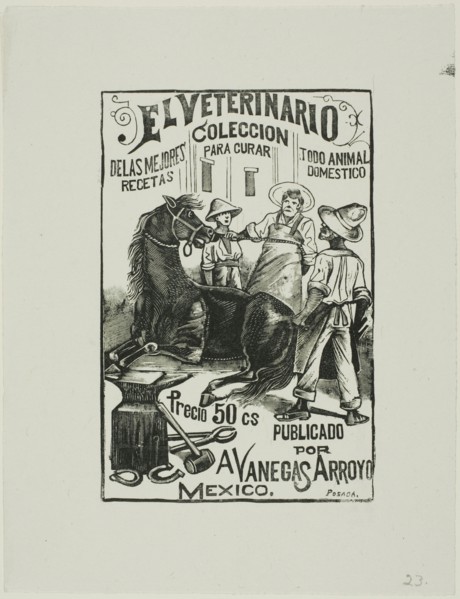 The Veterinarian, n.d.