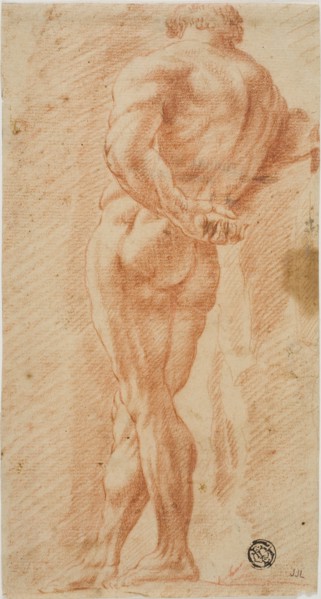 Farnese Hercules, 1700-1799. Study of classical sculpture.