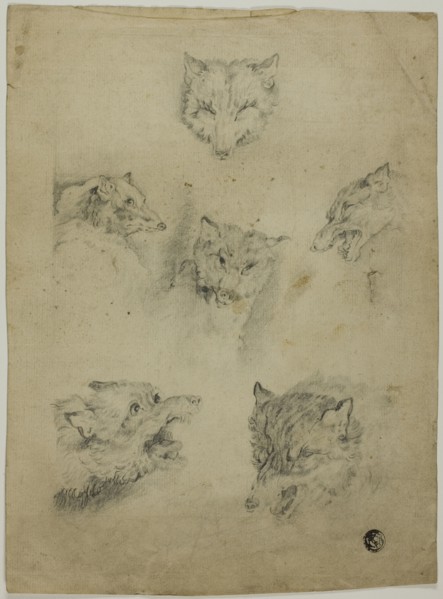 Six Sketches of Wolf Heads, n.d.
