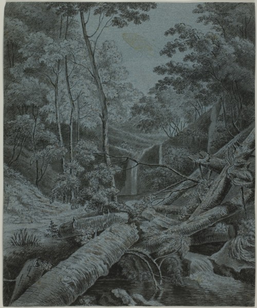 Waterfall and Fallen Logs in Forest, n.d.