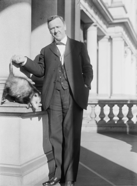 Daniels, Josephus, Secretary of The Navy, 1913-1921. with An Opossum, 1913.