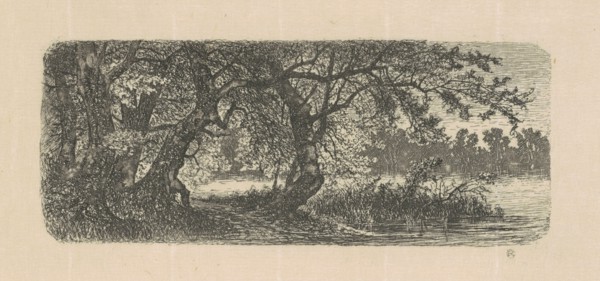 Water Elms, 1870s-1880s.