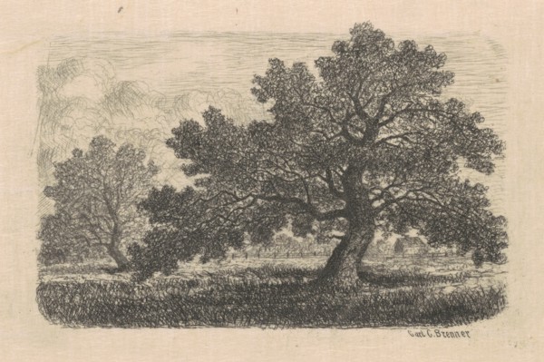 Apple Trees, 1870s-1880s.