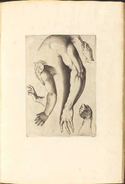 Print from Drawing Book, c. 1610/1620.