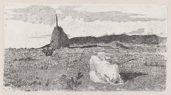 Holy Cow [Pio bove], 1888/1890.