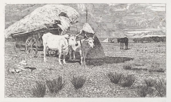 Oxen Yoked to the Cart (Maremma) [Bovi al carro (Maremma)], 1886/1887.