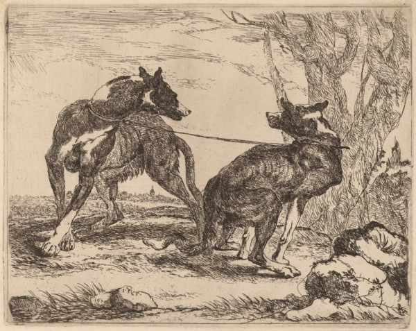 Two Greyhounds, Leashed and Facing Each Other, 1640.