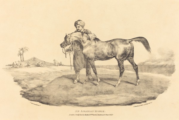 An Arabian Horse, 1821.