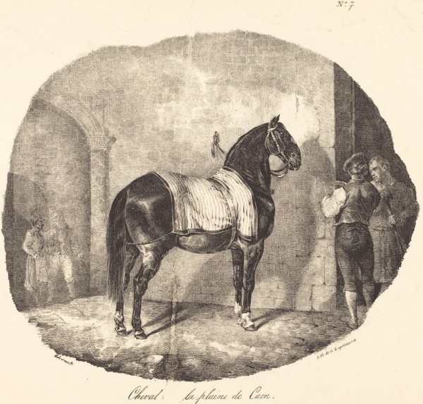 Cheval de la plaine de Caen, 1822.