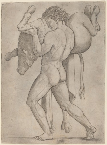 Hercules and the Cretan Bull, c. 1514/1515.