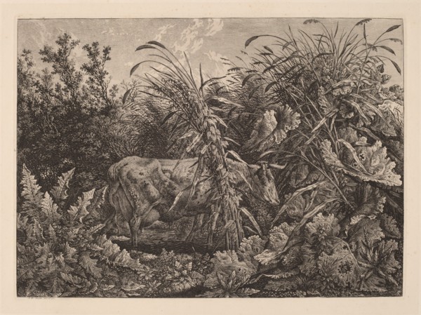 The Cow in the Swamp, 1800/1803.