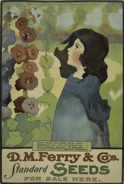 D. M. Ferry & Co's. standard seeds, c1895 - 1917.