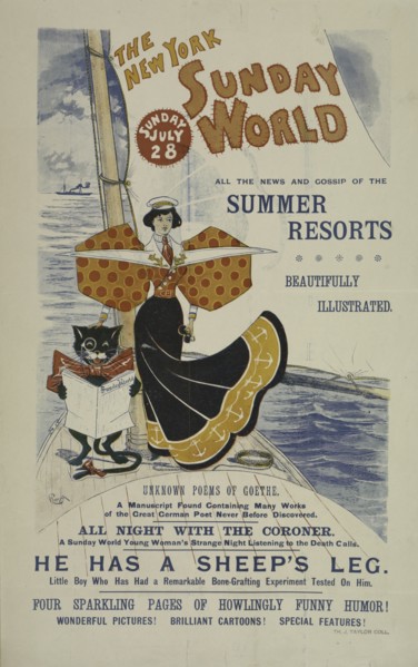 The New York Sunday world. Sunday July 28. 1895, c1893 - 1897.
