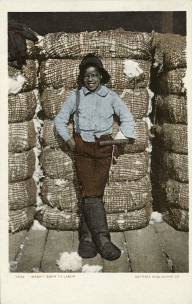 I Wasn't Born to Labor, 1902 - 1903.