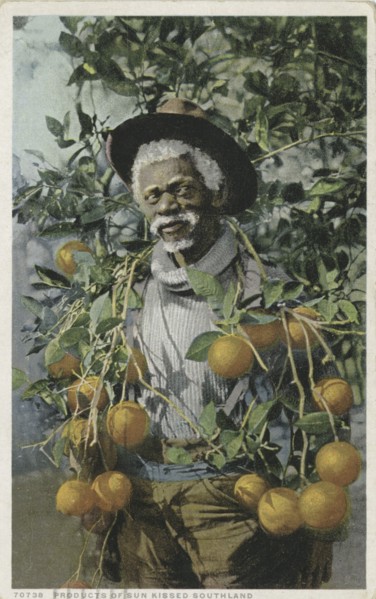 Products of Sun Kissed Southland, ca.1898 - 1931.