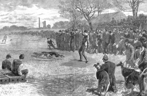 ''A Pitmans Holiday -- Rabbit Coursing with Greyhounds', 1890. Creator: Unknown.