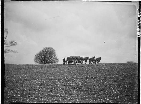 Slindon, Arun, West Sussex, 1908. Creator: Katherine Jean Macfee.