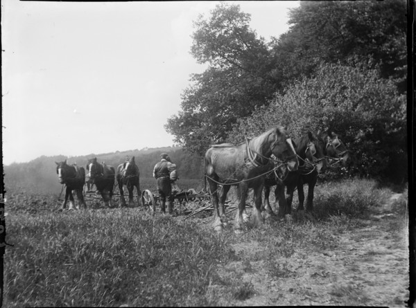 Wycombe, Buckinghamshire, 1919. Creator: Katherine Jean Macfee.