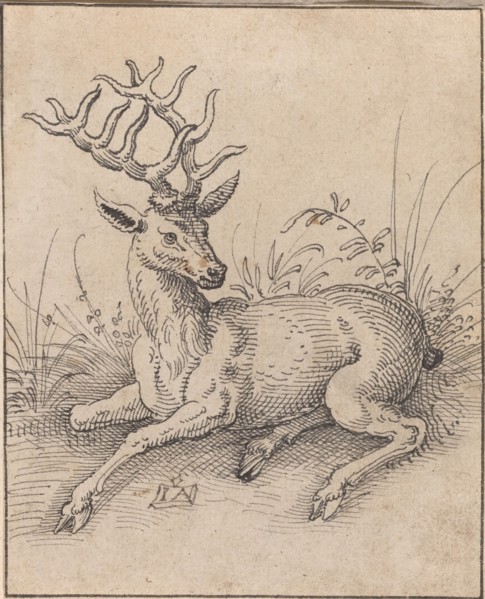 The Stag. Creator: Jost Ammon.