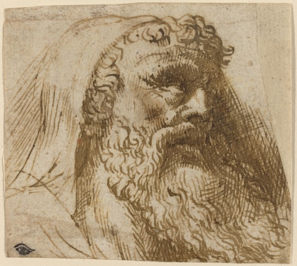 Head of a Man. Creator: Domenico Campagnola.