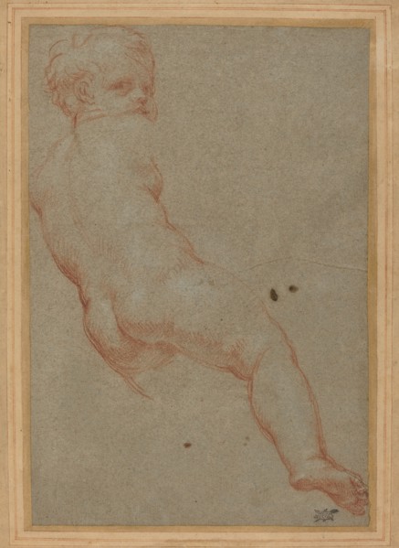 Study of a Young Boy. Creator: Carlo Maratti.