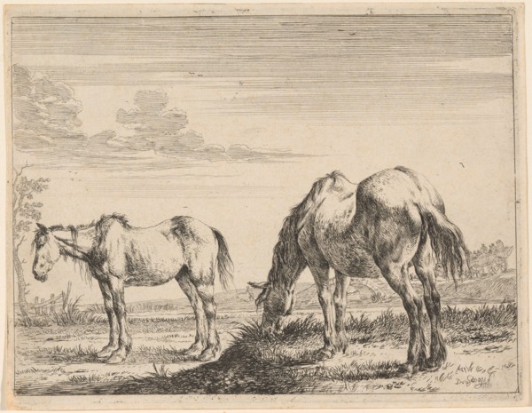 Two Grazing Horses, 1651. Creator: Dirck Stoop.