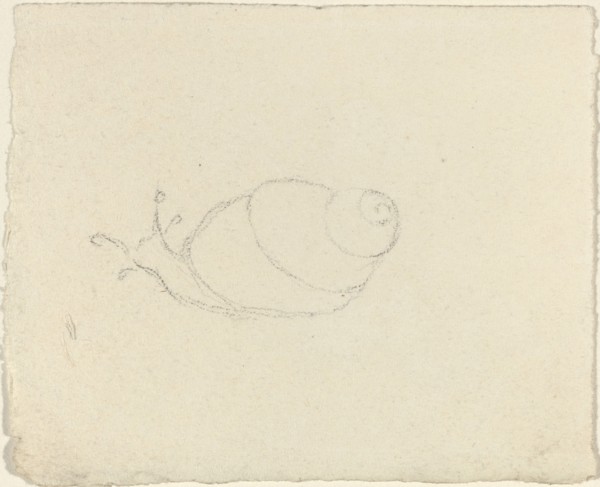 Snails [recto and verso]. Creator: John Flaxman.