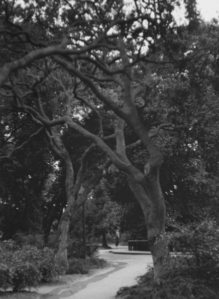 San Francisco views, 1927 Creator: Arnold Genthe.