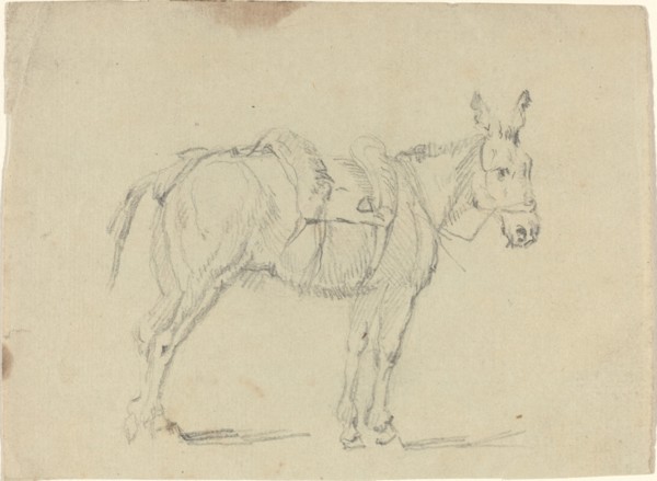 Donkey Stretching a Hind Leg. Creator: John Flaxman.
