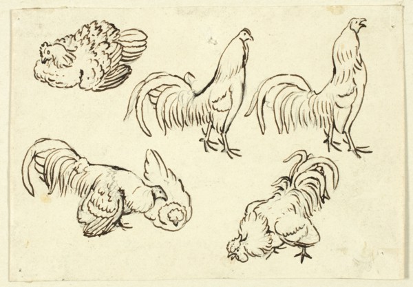 Sketches of Poultry, n.d. Creator: Henry Stacy Marks.