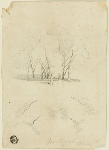 Clump of Trees, n.d. Creator: James Duffield Harding.
