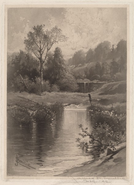 An Old Dam Near Montrose, 1891. Creator: James David Smillie.