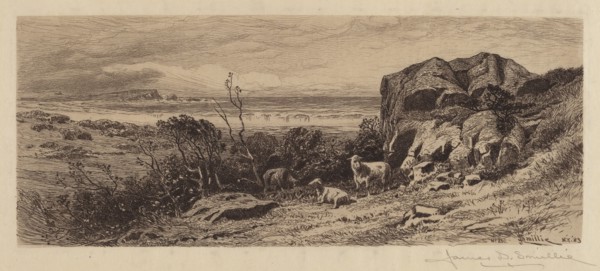 A Bit on Marblehead Neck, 1883. Creator: James David Smillie.