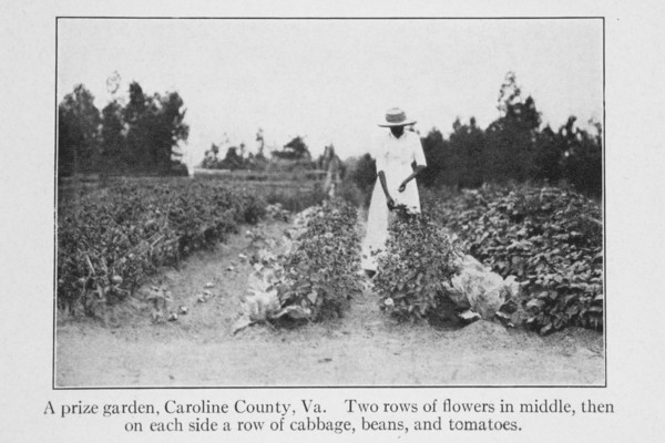A prize garden, Caroline County, Va., 1915. Creator: Unknown.
