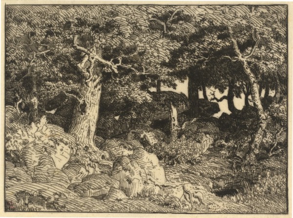 Chenes de Roche (Rock Oaks), 1861. Creator: Theodore Rousseau.