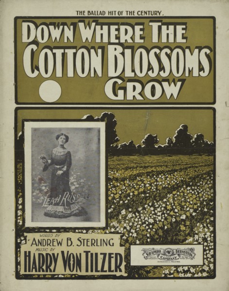 'Down where the cotton blossoms grow', 1901. Creator: Unknown.
