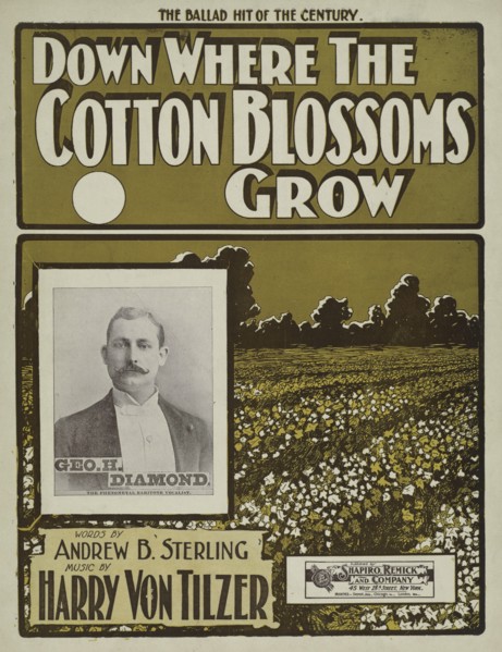 'Down where the cotton blossoms grow', 1901.  Creator: Unknown.
