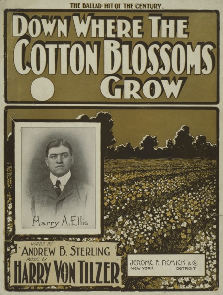 'Down where the cotton blossoms grow', 1901.  Creator: Unknown.