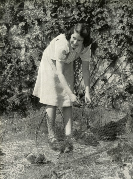 'At Work in Her Garden - Windsor, 1941', 1947. Creator: Unknown.