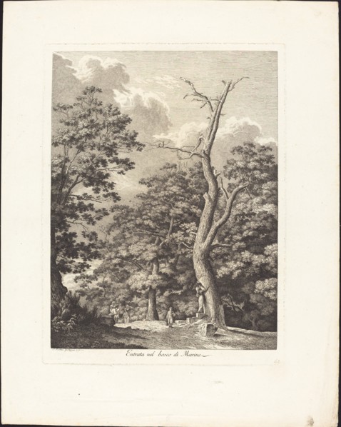 Entrata nel bosco di Marino, 1792. Creator: Jacob Wilhelm Mechau.