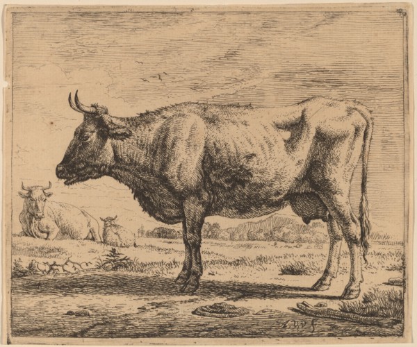 Two Cows and a Sheep, c. 1657/1659. Creator: Adriaen van de Velde.